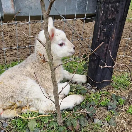 דירה Escape To The Country *
