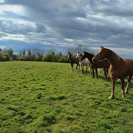 דירה Escape To The Country *